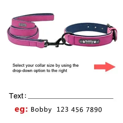 Personalized Engraved Leather Dog Collar Leash Set