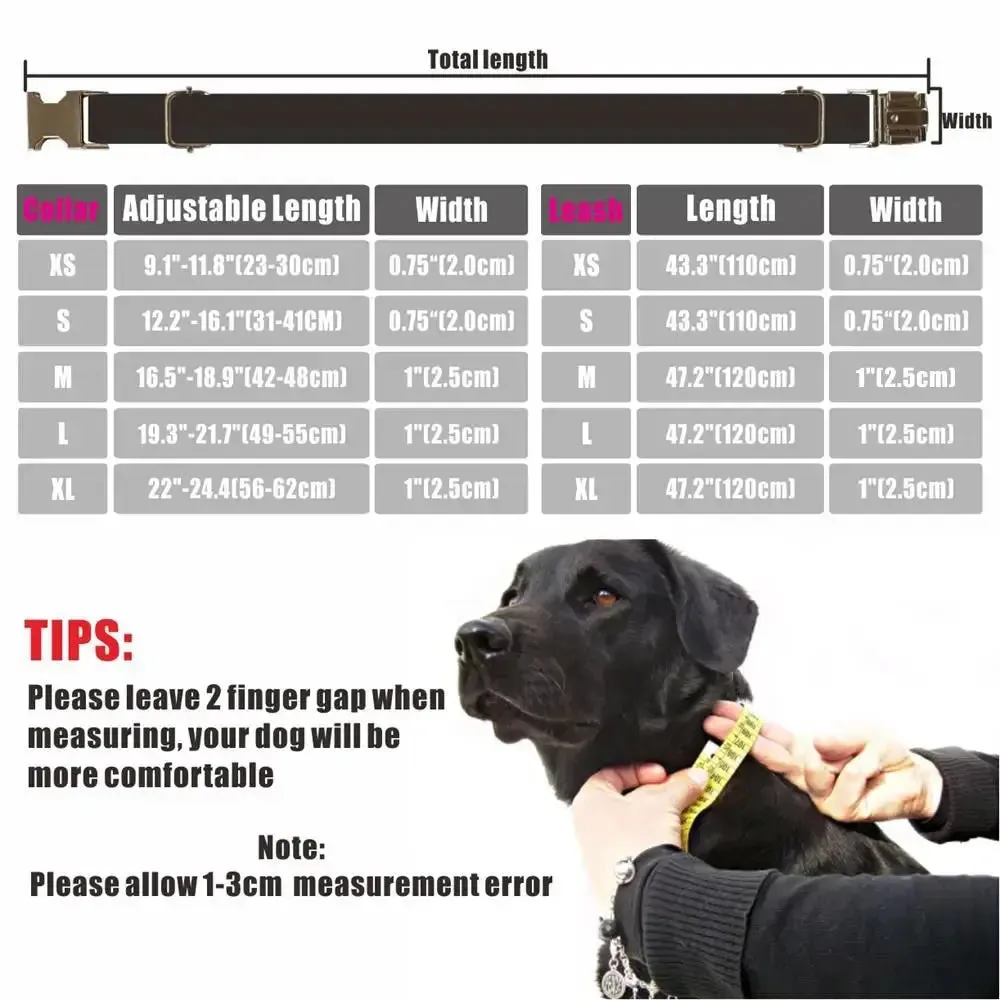 Personalized Luxury Herringbone Dog Collar Leash Set